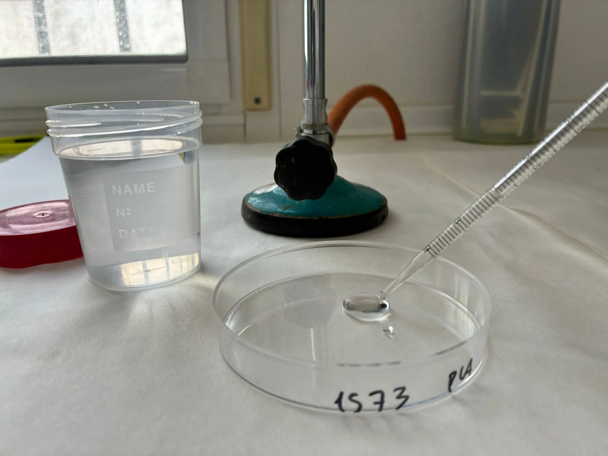 preparando una muestra